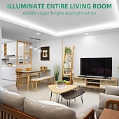 billige Plug Strip Lights-LED neonslyngelys 32,8 fot varm hvit dimbar LED-stripelys DIY fleksibel silikon vanntett neonslyngelys for soverom stue kjøkken innendørs utendørs DC24V (strømadapter inkludert)