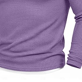 Χαμηλού Κόστους Πλεκτό μπλουζάκι με βάφλα-Ανδρικά Βάφλα μπλουζάκι Μπλουζάκι Πουκάμισο Waffle Henley Μακρυμάνικο Στρογγυλή Ψηλή Λαιμόκοψη Λαιμόκοψη V Όλες οι εποχές Συμπαγές Χρώμα Παραδοσιακό / Πεπαλαιωμένο Καθημερινό ψεύτικο δύο κομμάτια