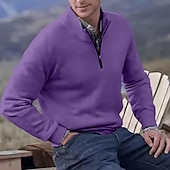 お買い得  男性用プルオーバーセーター-男性用 ニット プルオーバーセーター クォータージッププルオーバーセーター リブ ニット レギュラートップス ニット スリムフィット 平織り スタンドカラー ニット コンテンポラリー カジュアル デイリーウェア 衣類 秋 ディープパープル レイクブルー M L XL