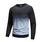 cheap Basic Sweatshirts-Men's Sweatshirt Pullover Blue Red Royal Blue Green Gray Crew Neck Plain Casual Daily Sports &amp; Outdoor Polyester Streetwear Cool Sportswear Spring &amp;  Fall Clothing Apparel Hoodies Sweatshirts  Long