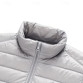 abordables Manteaux &amp; vestes-Homme Manteau d'Hiver Doudoune Veste Matelassée Avec Poches 50% duvet de canard blanc Vacances Tenue quotidienne Date Régulier Mode Occasionnel Confortable Chaleur Thermique Automne Hiver Couleur