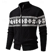 ieftine pulover cardigan pentru bărbați-Bărbați Pulover Cardigan Pulover decupat Pulover cu fermoar Pulover tricotat Striat Tricotat Topuri obișnuite Buzunar Geometric Guler de stand Modă Clasic Vacanță Purtare Zilnică Îmbrăcăminte Toamn