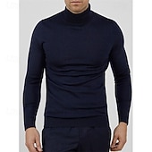 preiswerte Herrenpullover-Herren Pullover Gerippt Stricken Normale Oberteile Gestrickt Schmale Passform Einfach Rollkragen Strickware Zeitgenössisch Lässig Alltagskleidung Bekleidung Frühling Herbst Winter Schwarz Gelb M L XL