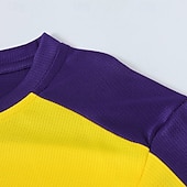 baratos Camisetas e Regatas de Corrida-Homens Bloco de cor Camisa de treino Blusa de corrida Primavera &amp; Outono Manga Longa Roupa Esportiva Academia Corrida Ginástica Preto Amarelo Roxo Roupa de esporte Roupas Esportivas