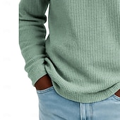  Herren Waffel-Poloshirts Textur Outdoor Lässig Viertelreißverschluss Langarm Mode Modern Einfarbig Texture Gestrickt Herbst Frühling & Herbst Herbst Winter Normale Passform Dunkel Braun Wein Schwarz