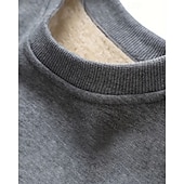 baratos Moletom &amp; Suéter-Homens Cor Sólida Moletom de lã Lounge Top Outono/Inverno Grossa Manga Longa Roupa Esportiva A Prova de Vento Quente Academia Equitação Corrida Exercite-se Ioga Preto Branco Amarelo Roupa de esporte