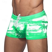 voordelige zwembroeken &amp; boardshorts surfen-Voor heren Zwemshorts Lange zwembroeken Badmode onderkleding Rekbaar Ademend Kleding Onderlichaam Trekkoord Surfen Bikini Duiken Gedrukt Zomer