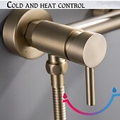 cheap Bathtub Faucets-Single hole Bidet Chrome Self-Cleaning Contemporary
