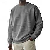 baratos Suéteres básicos-Homens Moletom Moletom Waffle Estacionar Cinza Claro Gola Redonda Tecido Textura Casual Diário Desportos e Ar livre Roupa de rua Legal Roupa de Esporte Primavera &amp; Outono Roupa Moletons Moletons