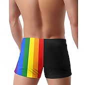 economico Costumi da bagno &amp; Pantaloni da surf-Per uomo Costume da bagno Costume da Bagno Pantaloni da bagno A righe Patchwork Elastico Traspirante Pantaloni Surf Bikini Immersione Estate