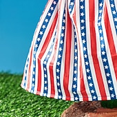 billige Veranda gåseantrekk-2 stk. patriotiske verandagåseantrekk sementgåskostyme 4. juli-stil gåsantrekk inkludert sløyfe og hatt til hagedekorasjon fest uteplass julegave