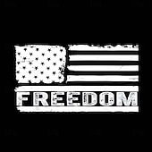 4th of July 2026 250th Memorial Day Patriotic Patriot Graphic American Flag Veteran T-Shirt