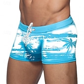 voordelige zwembroeken &amp; boardshorts surfen-Voor heren Zwemshorts Lange zwembroeken Badmode onderkleding Rekbaar Ademend Kleding Onderlichaam Trekkoord Surfen Bikini Duiken Gedrukt Zomer