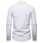 preiswerte Freizeithemden für Herren-Herren Hemd Freizeithemd Knopfhemd Schwarz Weiß Blau Grün Langarm Paisley-Muster Einfach Revers Urlaub Lässig Farbblock Bekleidung Mode Lässig