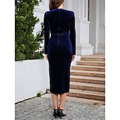ieftine Rochie simplă-Pentru femei Rochii Midi Rochie teacă Rochie împachetată Elegant Petrecere cocktail În aer liber Petrecere Invitat la nunta Zdrobit Fit regulat Culoare solidă Manșon Lung În V Albastru piscină Negru