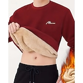 baratos Moletom &amp; Suéter-Homens Cor Sólida Moletom de lã Lounge Top Outono/Inverno Grossa Manga Longa Roupa Esportiva A Prova de Vento Quente Academia Equitação Corrida Exercite-se Ioga Preto Branco Amarelo Roupa de esporte