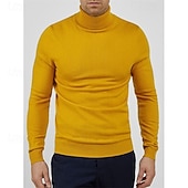 preiswerte Herrenpullover-Herren Pullover Gerippt Stricken Normale Oberteile Gestrickt Schmale Passform Einfach Rollkragen Strickware Zeitgenössisch Lässig Alltagskleidung Bekleidung Frühling Herbst Winter Schwarz Gelb M L XL