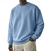 baratos Suéteres básicos-Homens Moletom Moletom Waffle Estacionar Cinza Claro Gola Redonda Tecido Textura Casual Diário Desportos e Ar livre Roupa de rua Legal Roupa de Esporte Primavera &amp; Outono Roupa Moletons Moletons