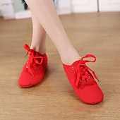 cheap Jazz Shoes-Women's Black Canvas Jazz Dance Shoes, Leather Sole Lace - Up Dance Training Shoes for Comfortable Practice