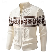 ieftine pulover cardigan pentru bărbați-Bărbați Pulover Cardigan Pulover decupat Pulover cu fermoar Pulover tricotat Striat Tricotat Topuri obișnuite Buzunar Geometric Guler de stand Modă Clasic Vacanță Purtare Zilnică Îmbrăcăminte Toamn