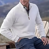 お買い得  男性用プルオーバーセーター-男性用 ニット プルオーバーセーター クォータージッププルオーバーセーター リブ ニット レギュラートップス ニット スリムフィット 平織り スタンドカラー ニット コンテンポラリー カジュアル デイリーウェア 衣類 秋 ディープパープル レイクブルー M L XL