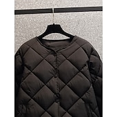 billige Quiltede dunjakker-Dame Vattert jakke Bekvem Pustende Lomme Knapper Fritid عادي Feriereise Gate Avslappet Dagligdagstøy Enkeltkneppet Kort Crewneck Normal Langermet Yttertøy Svart Hvit kaffe Vår Høst