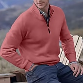 お買い得  男性用プルオーバーセーター-男性用 ニット プルオーバーセーター クォータージッププルオーバーセーター リブ ニット レギュラートップス ニット スリムフィット 平織り スタンドカラー ニット コンテンポラリー カジュアル デイリーウェア 衣類 秋 ディープパープル レイクブルー M L XL