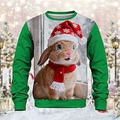 economico Magliette di Natale per Bambini-Natale Unisex Ragazzi Ragazze 3D Grafico Coniglio Felpa Manica Lunga Primavera Autunno Moda Essenziale Bambini 4-12 Anni Girocollo All&#039;aperto Casuale Quotidiano Vestibilità regolare