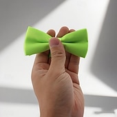 preiswerte Krawatten &amp; Fliegen für Herren-Kinder Fliege Moderne zeitgenössische Traditionell-Klassisch Einfarbig Formeller Abend Alltagskleidung Date Quinceañera &amp; Der 16te Geburtstag Festival