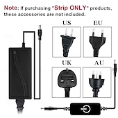 billige Plug Strip Lights-LED neonslyngelys 32,8 fot varm hvit dimbar LED-stripelys DIY fleksibel silikon vanntett neonslyngelys for soverom stue kjøkken innendørs utendørs DC24V (strømadapter inkludert)