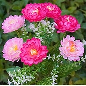 abordables Éclairage au sol-Lampes solaires de jardin, lampe solaire décorative extérieure étanche en forme de fleur, pour jardin, cour, patio, pelouse, décoration extérieure de Noël ou d'Halloween, cadeaux idéaux pour la fête