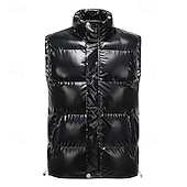 economico Gilet Puffer da Uomo-Per uomo Gilet imbottito Gilet Vacanza Quotidiano Data Moda Casual Autunno Inverno Tasca Poliestere Caldo Confortevole Tinta unica Cerniera Collo alla coreana Vestibilità regolare Nero Bianco Caffè