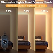 billige Plug Strip Lights-LED neonslyngelys 32,8 fot varm hvit dimbar LED-stripelys DIY fleksibel silikon vanntett neonslyngelys for soverom stue kjøkken innendørs utendørs DC24V (strømadapter inkludert)