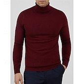 preiswerte Herrenpullover-Herren Pullover Gerippt Stricken Normale Oberteile Gestrickt Schmale Passform Einfach Rollkragen Strickware Zeitgenössisch Lässig Alltagskleidung Bekleidung Frühling Herbst Winter Schwarz Gelb M L XL