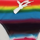 Недорогие Мужская Сёрфинг Одежда-Муж. Плавки-стринги Нижнее белье Плавки Градиент Кулиска Стреч Дышащий Нижняя часть Серфинг Бикини Дайвинг Лето