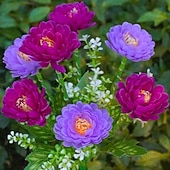 abordables Éclairage au sol-Lampes solaires de jardin, lampe solaire décorative extérieure étanche en forme de fleur, pour jardin, cour, patio, pelouse, décoration extérieure de Noël ou d'Halloween, cadeaux idéaux pour la fête