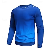 cheap Basic Sweatshirts-Men's Sweatshirt Pullover Blue Red Royal Blue Green Gray Crew Neck Plain Casual Daily Sports &amp; Outdoor Polyester Streetwear Cool Sportswear Spring &amp;  Fall Clothing Apparel Hoodies Sweatshirts  Long