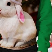 Kerstmis Voor meisjes 3D Grafisch Konijn Trui met capuchon Lange mouw Herfst Winter Modieus Aanbiddelijk Basic Kinderen 4-12 jaar Capuchon Buiten Casual Dagelijks Normale pasvorm voordelige Kersttops voor Kinderen-Kerstmis Voor meisjes 3D Grafisch Konijn Trui met capuchon Lange mouw Herfst Winter Modieus Aanbiddelijk Basic Kinderen 4-12 jaar Capuchon Buiten Casual Dagelijks Normale pasvorm