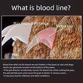 Недорогие Товары для дома-Светодиодная машинка для стрижки когтей для домашних животных с эргономичной нескользящей ручкой - точная для кошек &amp;Когтерез для собак для безопасной и легкой стрижки — необходимые принадлежности для