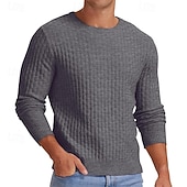 ieftine pulover pentru bărbați-Bărbați Pulover Pulover pulover Striat Tricotat Topuri obișnuite Tricotat Croi Slim Simplu Stil Nautic Îmbrăcăminte tricotată Contemporan Casual Purtare Zilnică Îmbrăcăminte Toamnă Toamna iarna Negru