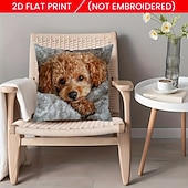  Capa de almofada decorativa com estampa plana 2D de gato preto, com bordado decorativo para sofá. O detalhe em bordado falso no centro adiciona um toque divertido e charmoso à sala de estar.