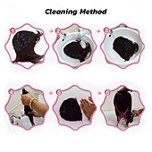 cheap Carnival Wigs-Purple Bob Wig With Bangs 12 Inch Short Synthetic Fiber Bob Wigs for Women Short Bob Wigs and Halloween Cosplay Wig for Daily Life Colorful Wigs With for Carnival Festival Party