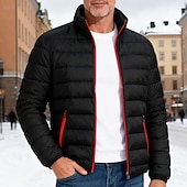 abordables Plumas y parkas de hombre-Hombre Chaqueta acolchada Acolchado Bolsillo Poliéster Exterior Casual Diario Regular Moda Ropa de calle Mantiene abrigado Invierno Color sólido Azul Piscina Negro Azul Oscuro Chaqueta acolchada
