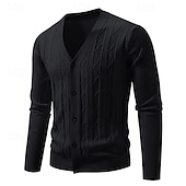 ieftine pulover cardigan pentru bărbați-Bărbați Pulover Pulover Cardigan Striat Cablu Tricotat Topuri obișnuite Tricotat Simplu În V Vacanță Modă Casual Purtare Zilnică Îmbrăcăminte Primăvara &amp; toamnă Toamna iarna Albastru piscină Negru L