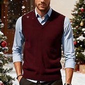 abordables Gilet pull-Homme Pull de Noël Chandails de Noël Pull Gilet pull de Noël Robe pull Côtelé Tricoter Hauts Réguliers Tricoté Uni Col en V Mode Occasionnel Vacances Tenue quotidienne Vêtement Tenue Automne &amp; Hiver