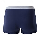 cheap Men's Boxers Underwear-Men's 10 Pack Basic Panties Boxers Underwear Briefs Elastic Waist Terylene Breathability Comfortable Letters Multi color