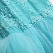 cheap Standard  Ballroom-Women's Elegant Turquoise Ballroom Dance Dress Lace Long Sleeve Boat Neck Waltz Tango Modern Rumba Practice Performance Gown