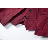 cheap Men's 1920s Costumes-Retro Vintage Roaring 20s 1920s Vest The Great Gatsby Gangster Fancy Dress Men's Halloween Carnival Masquerade Party &amp; Evening Adults' Vest