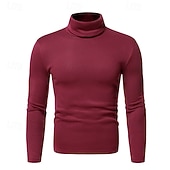 tanie sweter męski sweter-Męskie Sweter Sweter sweter Prążkowany Robić na drutach Zwykłe topy Dzianiny Dopasowany krój Równina Golf Dzianina Nowoczesny Codzienny Dzienne zużycie Odzież Jesień i zima Wino Czarny S M L