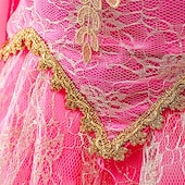 baratos Fantasia de Menina-Vestido de festa infantil feminino para a Semana do Livro 2026, com estampa floral, manga longa, para ocasiões formais, apresentações e eventos especiais. Renda, estilo princesa, maxi, para uso diário, com modelagem evasê e tule. Disponível nas cores rosa